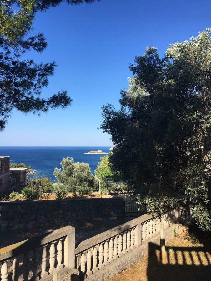 Apartman Novica Herceg Novi Zewnętrze zdjęcie